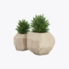 product-image-7_optimized Minim Veniam